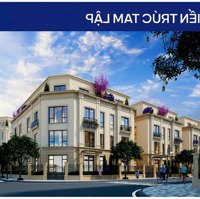 Duy Nhất Suất 1 Song Lập Góc Vườn Hoa Vinhomes Cổ Loa Tn3-68 Diện Tích 229M2 Siêu Vip