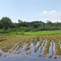 Không Tìm Đâu Ra Lô Thứ Haidiện Tích2630M2 View Cánh Đồng, Tại Ba Trại, Ba Vì, Hà Nội