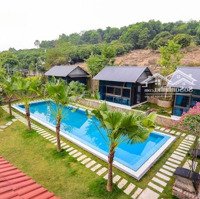 Tôi Cần Bán Căn Canary Villa Ba Vì- Kiểu Hometay. Diện Tích: 4000M2, 2Tầng, 3 Bungalow, Bể Bơi. Giá Bán 27 Tỷ