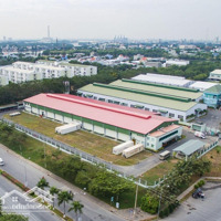 Em Kẹt Tiền Cần Bán Nhanh Lô Đất 169.8M2 Đẹp Gần Kcn Đất Đỏ, Shr, Giá Chỉ 3 Triệu9/M2