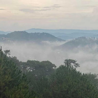 Cho Thuê Đất View Thung Lũng Thông Xanh Trần Quang Diệu.thích Hợp Làm Cafe,Caping,Lưu Trú Cao Cấp