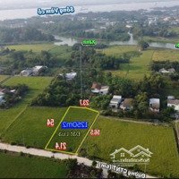 Lô Đất Lúa Nở Hậu Giá Rẻ Hơn Thị Trường