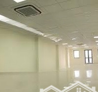 Siêu Phẩm! Cho Thuê Nhà Mặt Phố Đốc Ngữ 250M2 X 5T, Mặt Tiền 9M Đẹp Nhất Quận Ba Đình