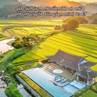 Đất To Giá Nhỏ Rẻ Ơi Là Rẻ Chốt Đi Anh Em