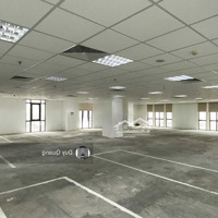 Building Ngay Golden Plaza Hồng Bàng - 11X25M - 1000M2 - Hầm 5 Tầng - Hđt: 300 Triệu/Tháng - Giá Bán 80 Tỷ