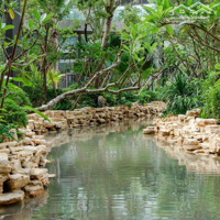 Chính Chủ Cho Thuê Căn Hộ Chung Cư 115M² Haven Park Ecopark Văn Giang, Hưng Yên