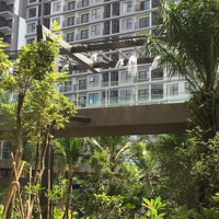 Chính Chủ Cho Thuê Căn Hộ Chung Cư 115M² Haven Park Ecopark Văn Giang, Hưng Yên