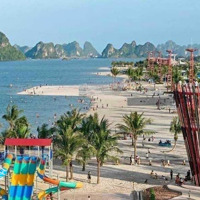 Chính Chủ Gửi Bán Lô Đất Liền Kề Dự Án Phương Đông Vân Đồn, Hướng Biển Đông Nam Giá Nhỉnh 3 Tỷ