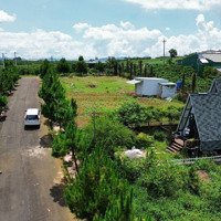 Chính Chủ Bán Nhanh Homestay - Bảo Lộc Chill - Lh Em 0938003476