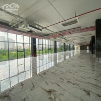 Cho Thuê Văn Phòng 1000 - 4420M2 Tại Tòa Dinhle Group