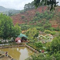 Bán Lô Đất Đồi View Đẹp - Tà Nung, Đà Lạt Giá Chỉ 13,Xx Tỷ/ B91004H (Thảo - 0984262722)