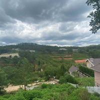 Đất Biệt Thựdiện Tích336M2, View Thông Đẹp, Gần Trung Tâm Tp Đà Lạt, Đường Nhựa Ô Tô 9M. Giá Bán 7.3 Tỷ