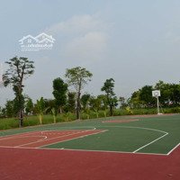 Chính Chủ - Hiếm - Biệt Thự 250M2 - Đông Nam - View Trực Diện Công Viên - Hud Mê Linh