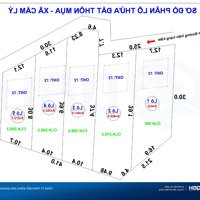 Cắt Lỗ 30% Bán Gấp Đất Lục Nam: Mặt Tiền 8M, Rộng Hơn 1800M2, Giá Chỉ 1.3 Triệu/M2