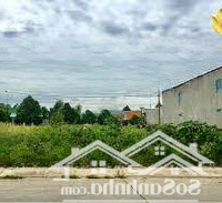 3000M2 Đất Thị Trấn Dầu Tiếng Chỉ Hơn 1 Triệu/M2 Dân Đông, Đường Nhựa, Sổ Sẵn, 1000M2 Cũng Bán