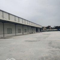 Cho Thuê Kho Tiêu Chuẩn Tại Kim Nỗ, Huyện Đông Anh, Hà Nội. 300M2 - 10.000M2