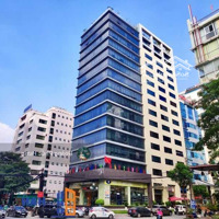 Bán Gấp Khuôn Đất Đẹp Trung Tâm Quận 10 Ngay Vạn Hạnh Mall P12 Quận 10,Diện Tích20X40M Cn 800M2, 175 Tỷ