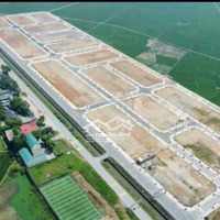 Bán Ô Đất Lk8-16 Sát Ô Góc Đồng Và Bác Thị Trấn Lâm Thao Phú Thọ Chính Chủ . Diện Tích 100M2 .