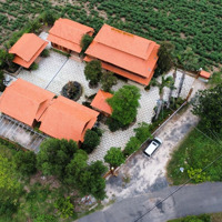 Bán Homestay Nhà Gỗ Mái Ngói - H Xuyên Mộc Bà Rịa Vũng Tàu