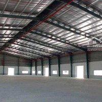 Cần Cho Thuê Xưởng Cụm Công Nghiệp Đức Hòa 3000M2/ 100 Triệu / Pccc Tự Động