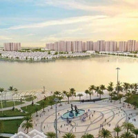 Chính Chủ Bán Nhanh Căn Song Lập Ngọc Trai Đảo Nhỏ Vinhomes Ocean Park View Vườn Hoa