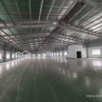 Cho Thuê Kho Xưởng 1000M2 Đến 20.000M2 Trong Các Kcn Nhơn Trạch 1,2,3,5 Và 6, Nhơn Trạch, Đồng Nai