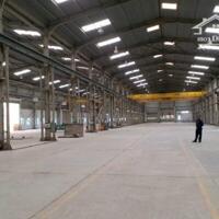 Cho thuê xưởng 3000m2. Long Bình Tân . Biên Hòa . Đồng Nai (XT084)