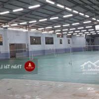 Cho Thuê Sân Bóng Nhân Tạo Đã Làm Sẵn 4 Sân, Có Thể Cải Tạo Làm Sân Pickleball, 4700M2, Giá 115 Triệu