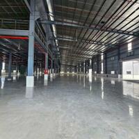 Cho Thuê 5.600m2 Nhà Xưởng Mới Trong KCN - TPM Bình Dương Giá 4usd