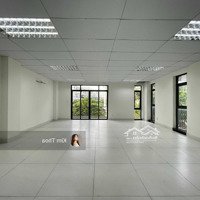 Tòa Nhà Văn Phòng Kđt Vạn Phúc 7X15M Sàn, Có Bảo Vệ Giữ Xe, Pccc, Xuất Được Hóa Đơn. Giá Chỉ 12 Tr