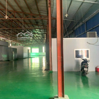 Nền Epoxy Sơn Sáng Bóng. Khách Thuê Tiết Kiệm Chi Phí Cải Tạo.diện Tíchthuê 260 Hoặc 730M2. 68K/M2