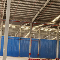 Cho Thuê Kho Xưởng Kcn Cần Đước, Long An Diện Tích : 2.500M2 - 5.000M2 - 10.000M2, Pccc Tự Động