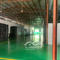 Cho Thuê Kho Xưởng 730M2, 50 Triệu/Th Đường Liên Phường, Phú Hữu, Thủ Đức