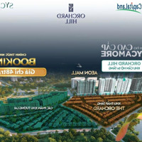 Mở Bán 774 Căn Hộ Resort Tại Phân Khu The Orchard Hill Tại Sycamore Bình Dương Tháng 9/2024