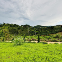 Lô Đất Bám Suối Đá Đối Diện La Khu Village, Du Lịch, Nhìn Sang Là Thành Phố Đà Lạt Chỉ Hơn 1 Tỷ