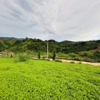 Lô Đất Bám Suối Đá Đối Diện La Khu Village, Du Lịch, Nhìn Sang Là Thành Phố Đà Lạt Chỉ Hơn 1 Tỷ