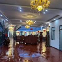 Homestay Nghỉ Dưỡng, Ao Câu Cá Tổng Diện Tích 2000M2 Ven Đà Lạt Chỉ 2,7 Tỷ