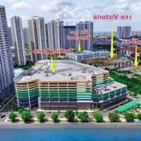 Căn Hộ Studio Diện Tích 32M2. Phân Khu The Victoria - Smart City. Tầng Đẹp Nhất. Giá Full 2,0X Tỷ