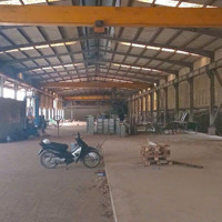 Cần Cho Thuê Diện Tích 3000M2, Pccc, Sân Vườn Rộng, Giá 55K/M2/ Tháng