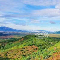 [ 14,7Ha Diên Sơn _ Phù Hợp Đất Trồng Cây Lâu Năm ] *** Cách Tttp Nha Trang : 18Km