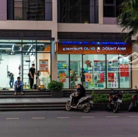 Bán Shophouse Chân Đế 423 Minh Khai - Giá Rẻ Nhất Dãy 100 Triệu/M2