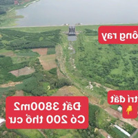 Bán Đất Hòa Bình , Giá Bán 7 Tỷ Cócó Thương Lượng, Hiện Chủ Đang Vay 6 Tỷ Tổng 3800M2 Có 200 Thổ Cư