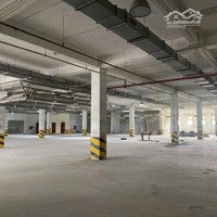 Cho Thuê Nhà Mp Cầu Diễn 1400M2 X 3T, Mt50M, Thông Sàn, Kd Mọi Mô Hình, Vị Trí Đắc Địa