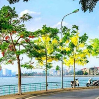 Bán Đất Xuân La - Tây Hồ 102M2, Mt7M, Ô Tô Giá Bán 17,5 Tỷ.