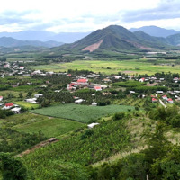 Bán Đất View Đẹp Trung Tâm Xã Diên Tân, Diên Khánh Gần Chợ Trường Làm Nhà Vườn 13.000M2 Giá Rẻ