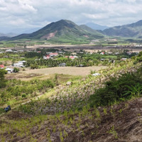 Bán Đất View Đẹp Trung Tâm Xã Diên Tân, Diên Khánh Gần Chợ Trường Làm Nhà Vườn 13.000M2 Giá Rẻ