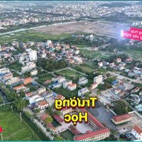 Chủ Nhà Có Việc Bán Rẻ 1 Bđs Đẹp 100M2 Đường Rộng 12M Tại Hoa Động , Thuỷ Nguyên , Vị Trí Đắc Địa