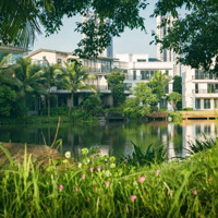 Biệt Thự Đảo 270M2 Ecopark The Island Grand