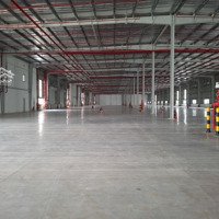 Cho Thuê Nhà Xưởng Trong Kcn Dầu Giây, Đồng Nai