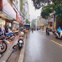 Cho Thuê Nguyên Căn Đẹp Nhất Phố An Trạch Phù Hợp Với Mọi Loại Mô Hình Kinh Doanh